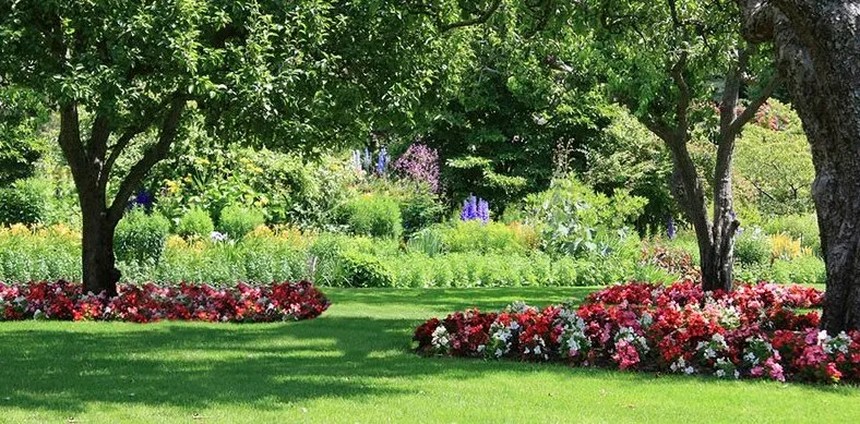 Expert residential landscaping in Leaf River, IL - Leaf River Landscaping and Nursery