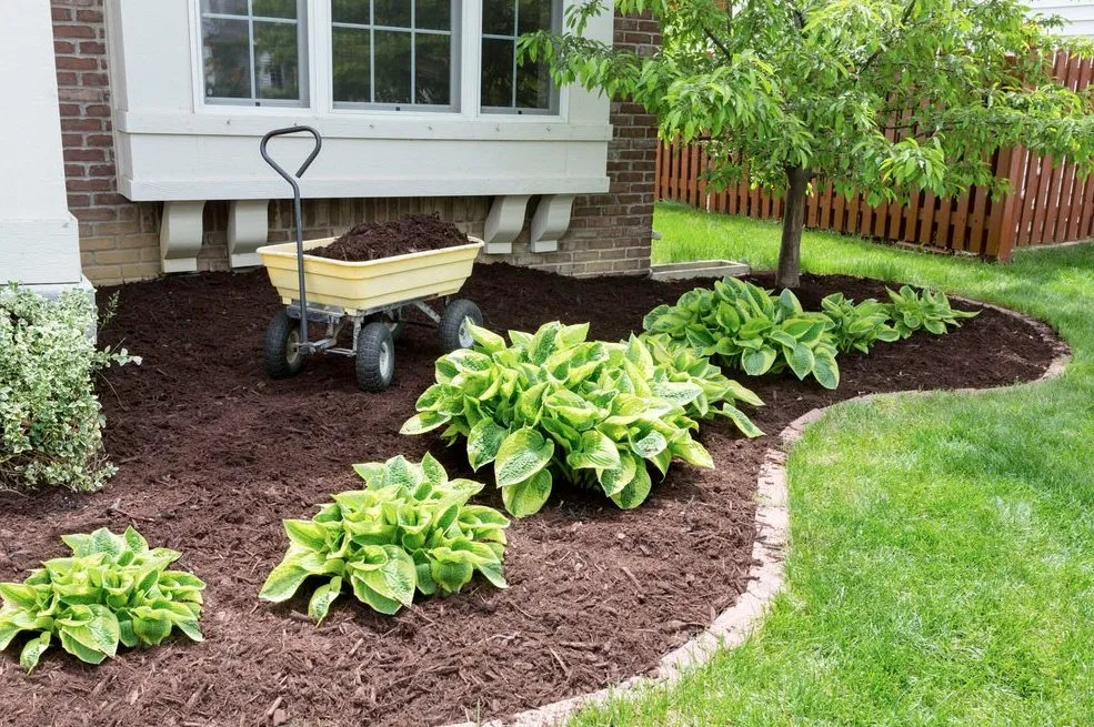 Professional landscape design in Leaf River, IL - Leaf River Landscaping and Nursery