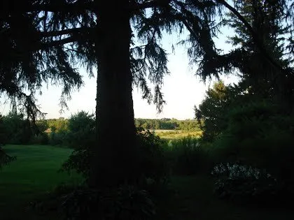 Local garden landscaping in Leaf River, IL by Leaf River Landscaping and Nursery