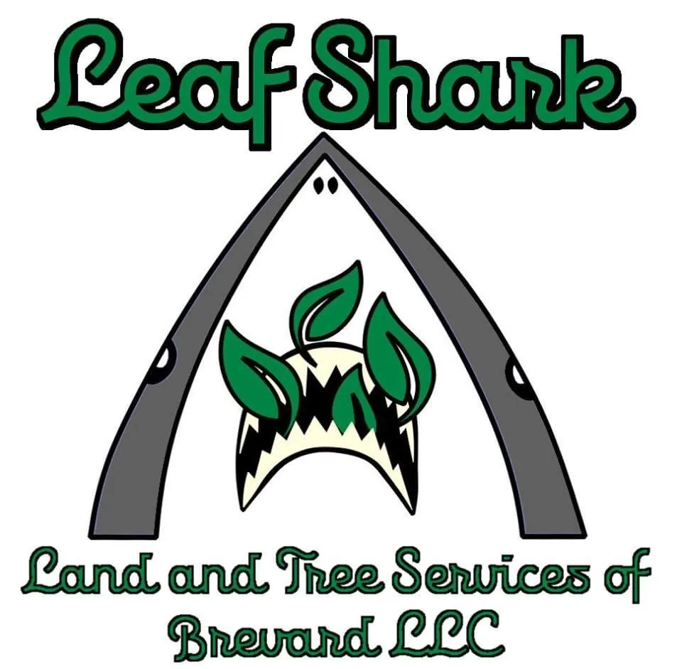 Top-rated landscaping services in Titusville, FL - LEAF SHARK Landscape Services of Brevard