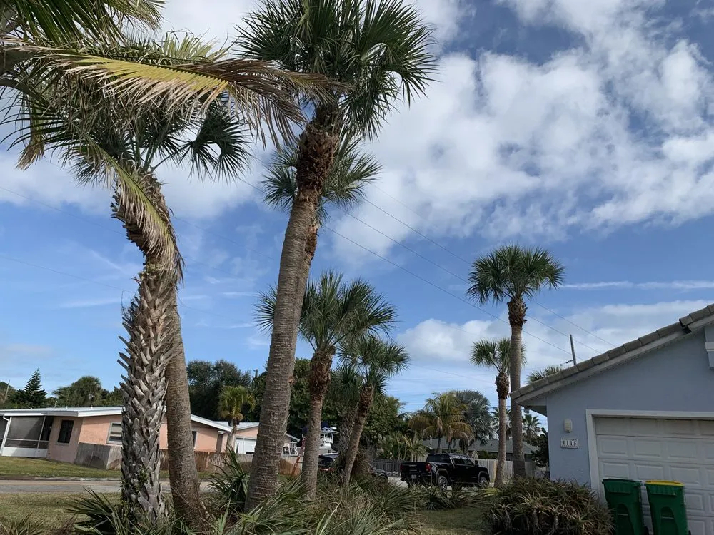 Expert residential landscaping in Titusville, FL by LEAF SHARK Landscape Services of Brevard