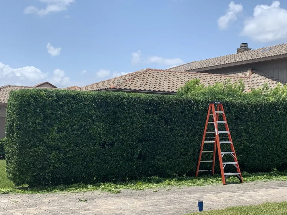 Custom landscape design for homes across Titusville, FL - LEAF SHARK Landscape Services of Brevard