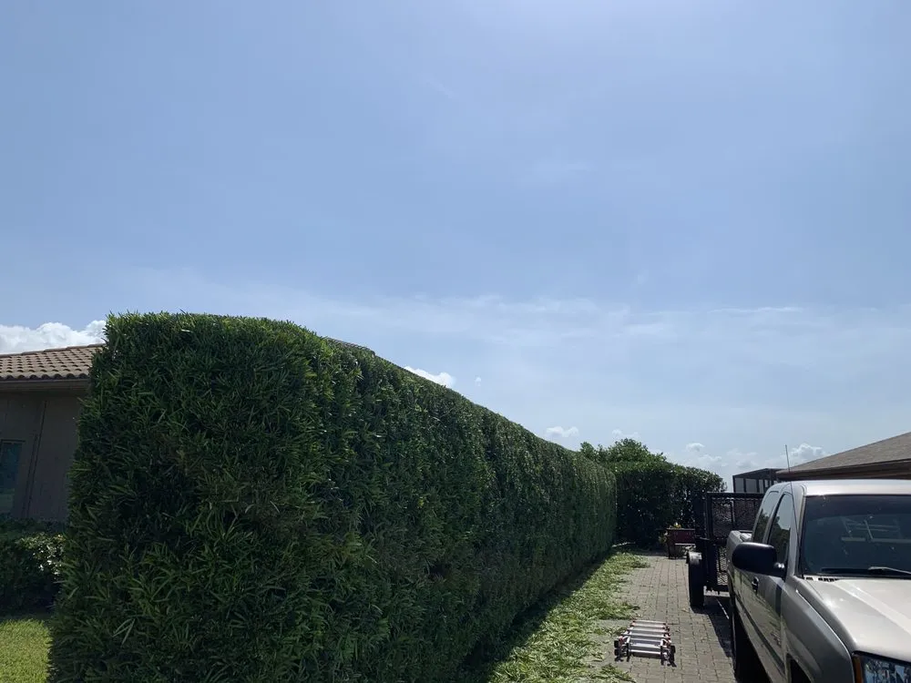 Top-rated outdoor landscaping near you in Titusville, FL by LEAF SHARK Landscape Services of Brevard