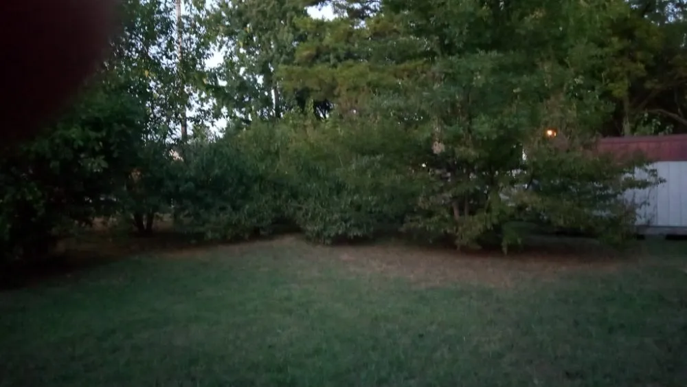 Local lawn care service with custom design in Fort Smith, AR by Leaf Vac Lawn Specialist