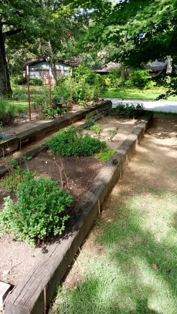 Professional landscaping services in Fort Smith, AR by Leaf Vac Lawn Specialist