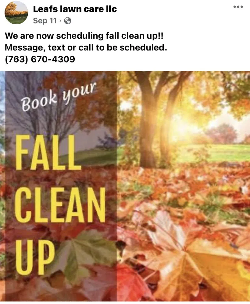 Custom yard cleanup service experts serving Princeton, MN - Leafs Lawn Care