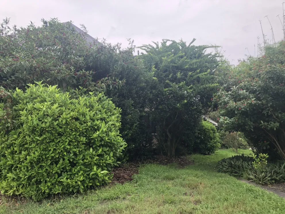 Affordable outdoor landscaping in Hudson, FL - Leaf’s Lawn Service