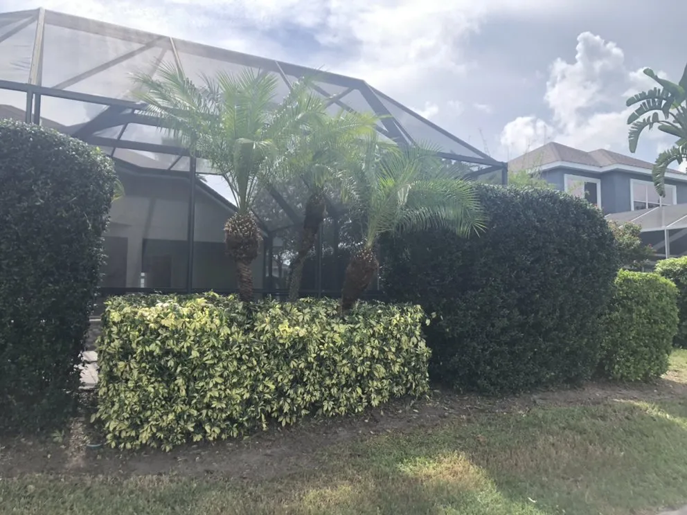 Local residential landscaping for residential properties across Hudson, FL - Leaf’s Lawn Service