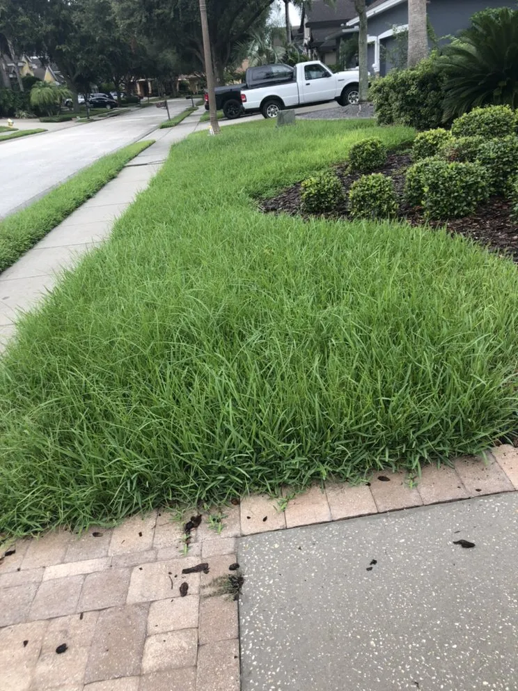Top-rated landscaping services in Hudson, FL - Leaf’s Lawn Service