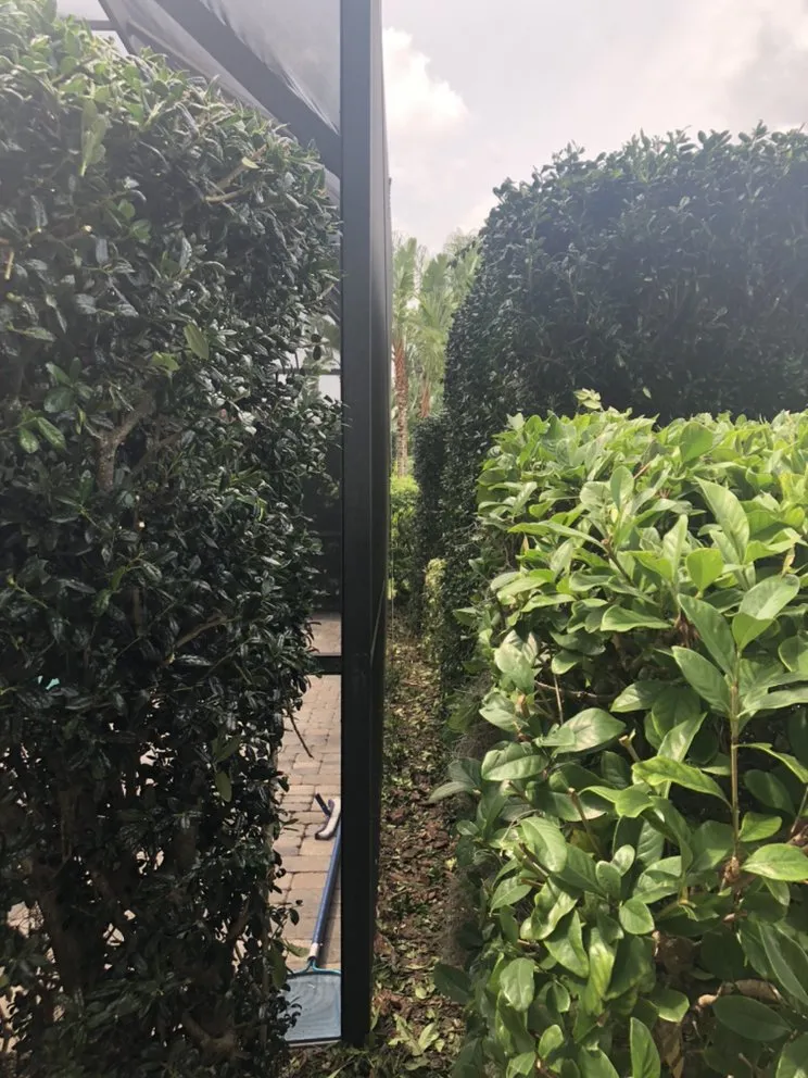 Trusted lawn care service in Hudson, FL - Leaf’s Lawn Service