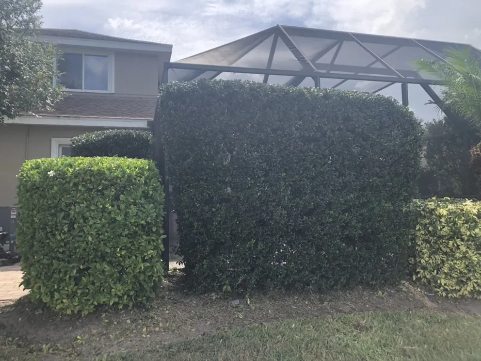 Professional landscape design in Hudson, FL - Leaf’s Lawn Service