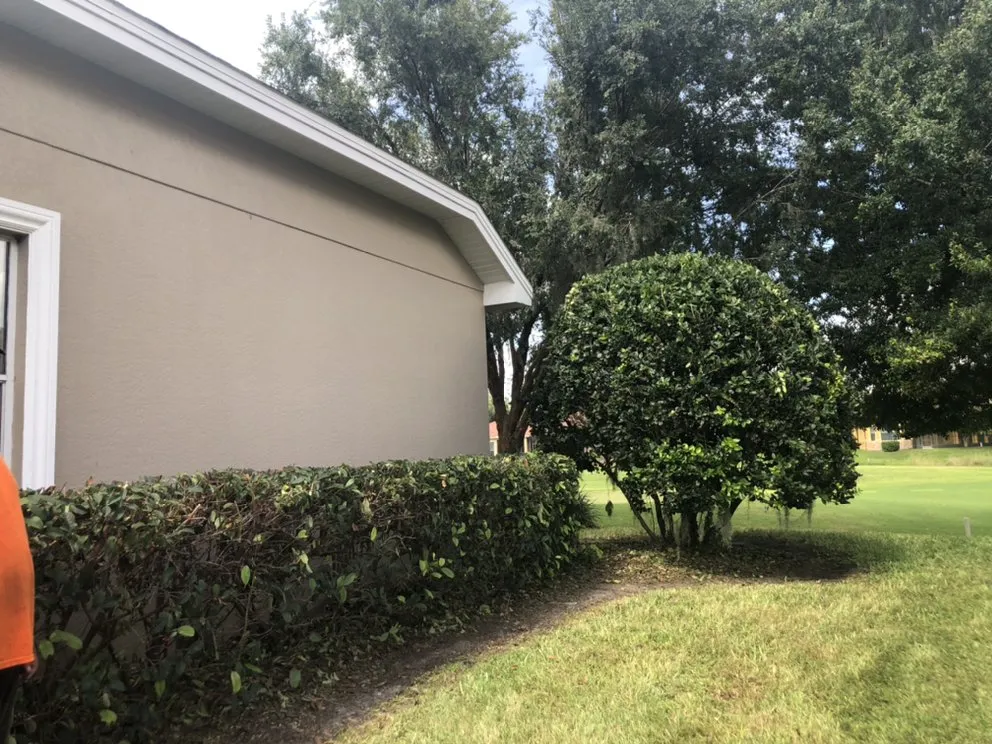 Reliable yard cleanup service in Hudson, FL by Leaf’s Lawn Service