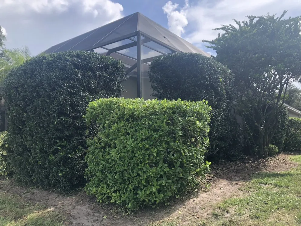 Local lawn care service in Hudson, FL by Leaf’s Lawn Service