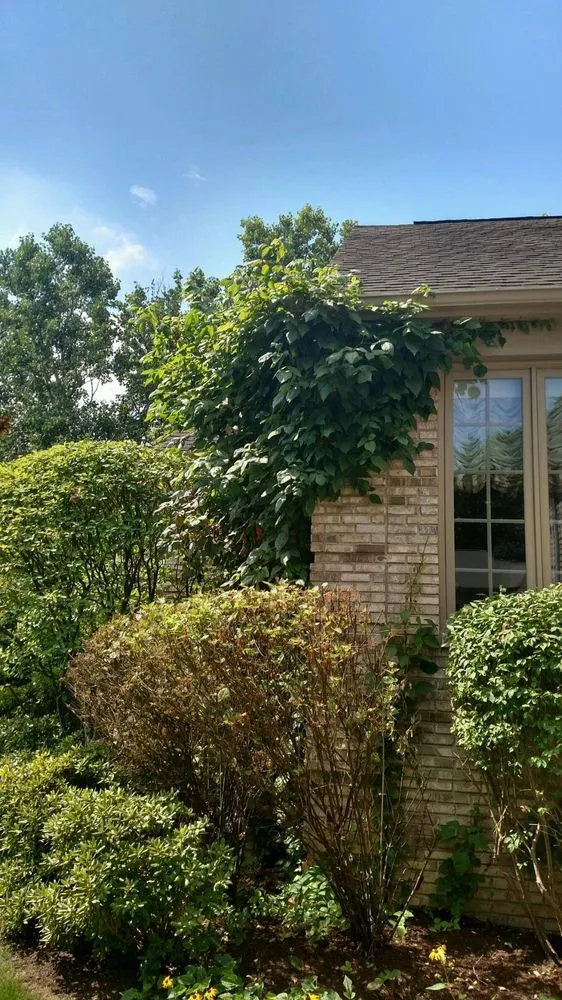 Reliable lawn care service in Harrison Township, MI by Leafs Of Three