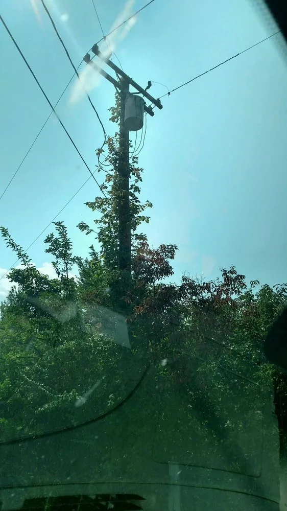 Reliable lawn mowing service experts serving Harrison Township, MI - Leafs Of Three