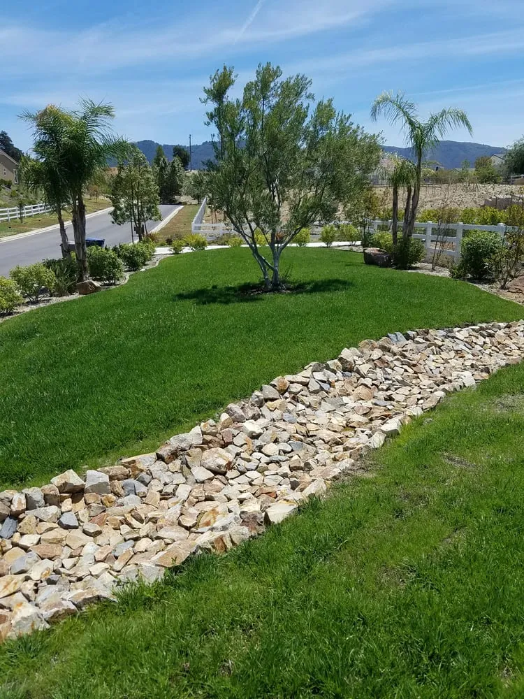 Reliable yard cleanup service for year-round maintenance across Acton, CA - Leafs U Green