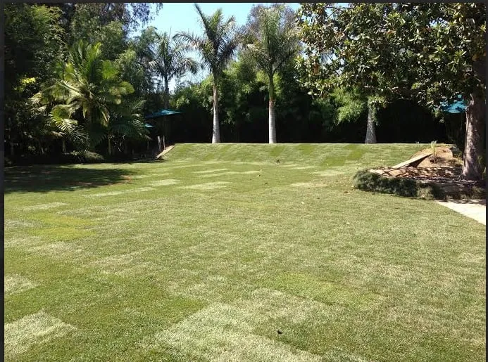 Professional residential landscaping for residential properties in Acton, CA by Leafs U Green