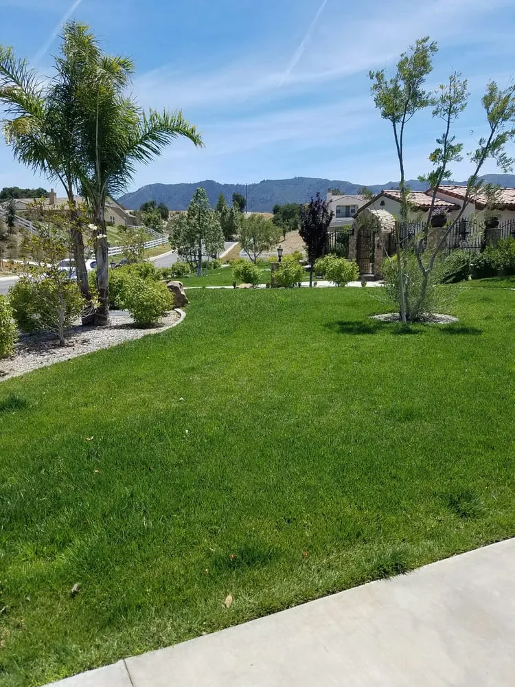 Trusted yard cleanup service in Acton, CA - Leafs U Green