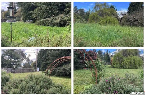 Custom outdoor landscaping near you in Santa Rosa, CA by Leafstone Landscaping