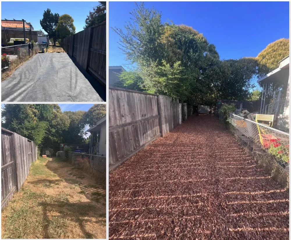 Professional yard maintenance in Santa Rosa, CA by Leafstone Landscaping