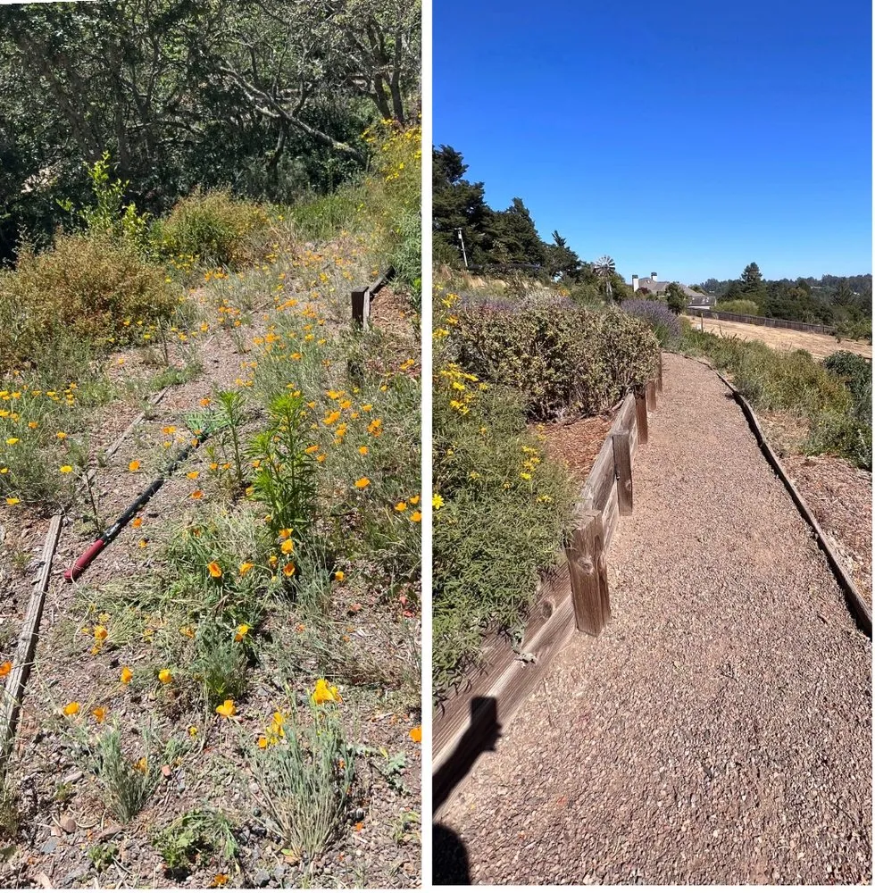 Expert outdoor landscaping with custom design across Santa Rosa, CA - Leafstone Landscaping