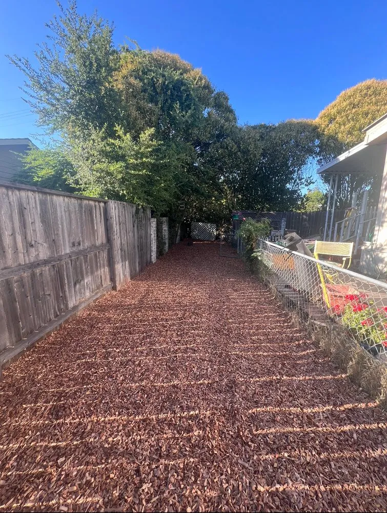 Top-rated yard maintenance experts serving Santa Rosa, CA - Leafstone Landscaping