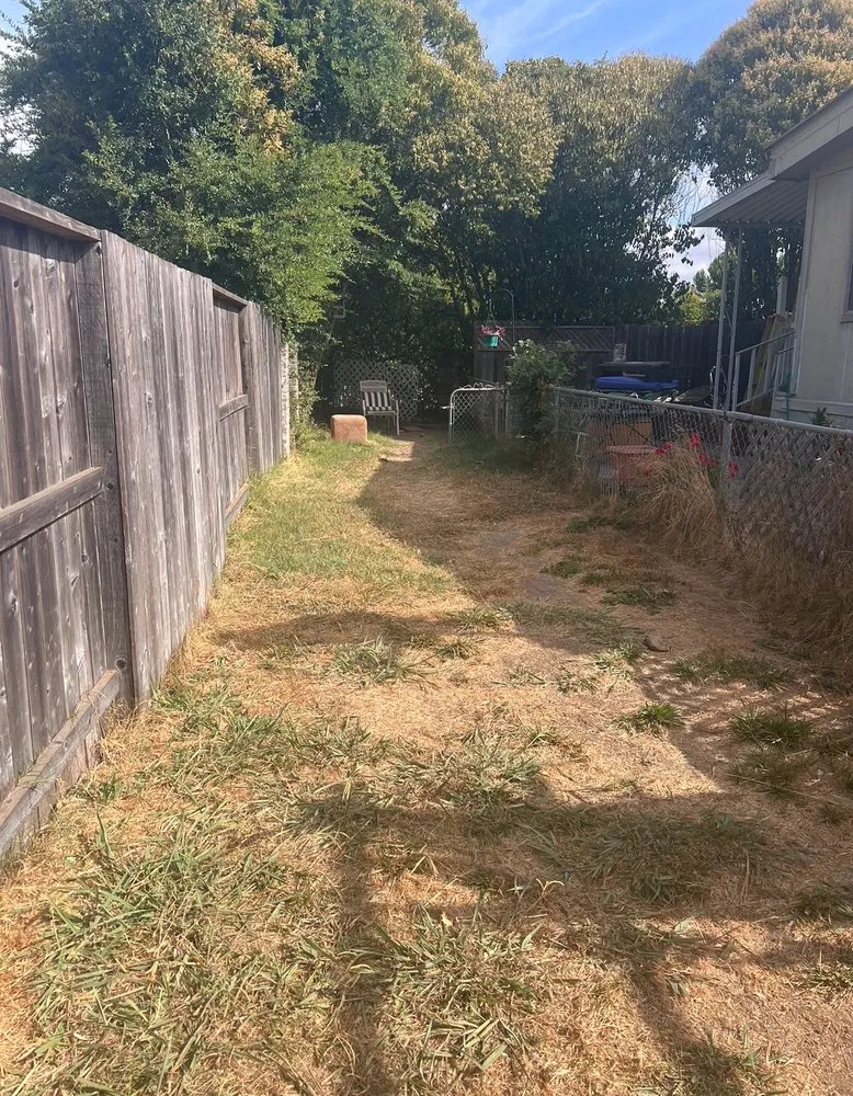 Professional landscape installation in Santa Rosa, CA by Leafstone Landscaping