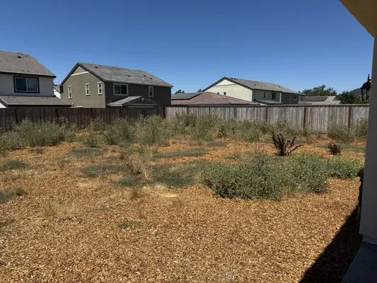 Leafstone Landscaping Logo