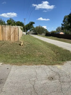 Leaftys Grass Cuttin