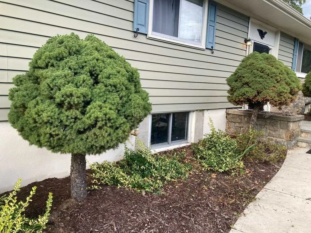 Affordable residential landscaping in Derby, CT by Leafy Green
