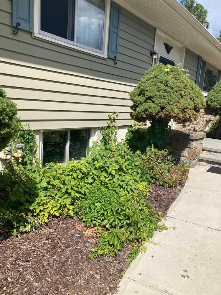 Trusted residential landscaping for beautiful yards across Derby, CT - Leafy Green