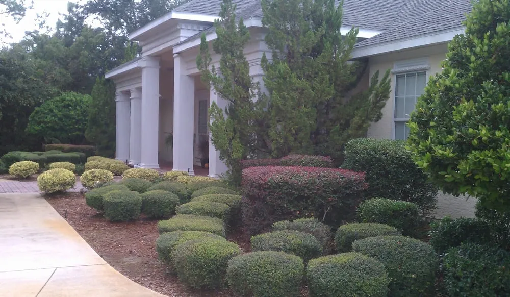 Professional landscape installation experts serving New Smyrna Beach, FL - Leafy Landscape & Lawn Care
