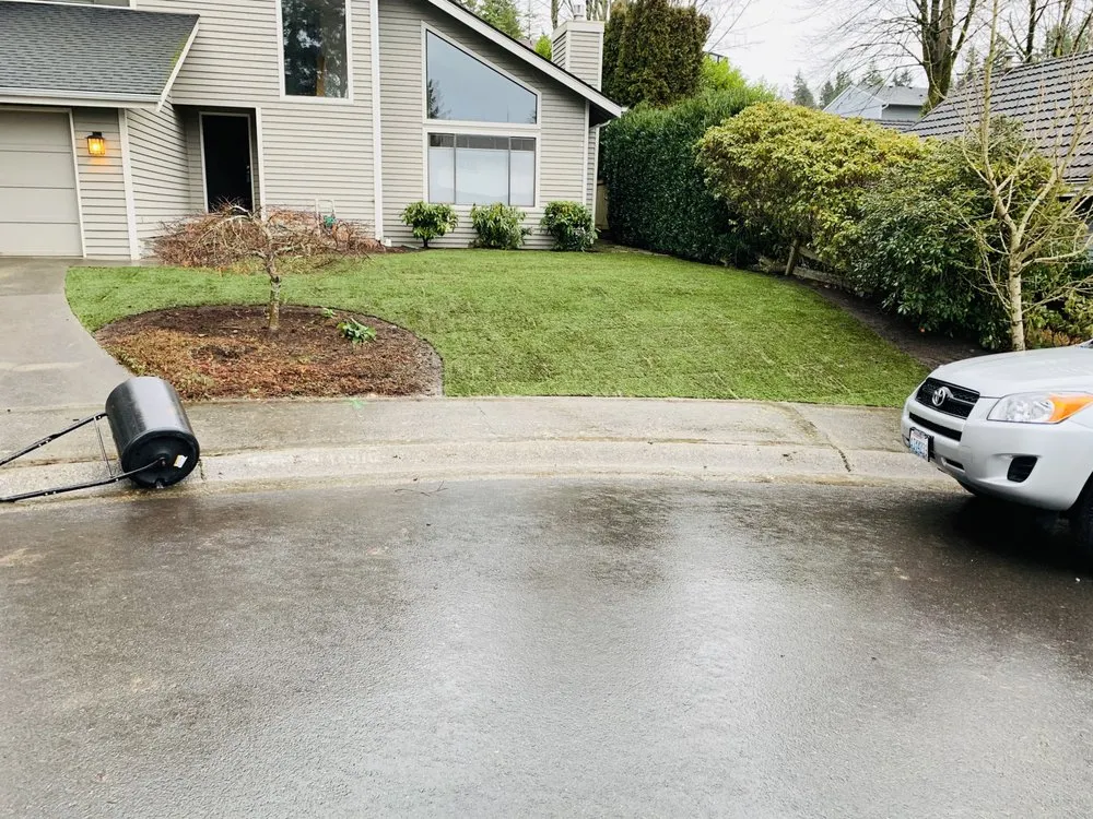 Reliable yard cleanup service in Covington, WA - Leafy landscape