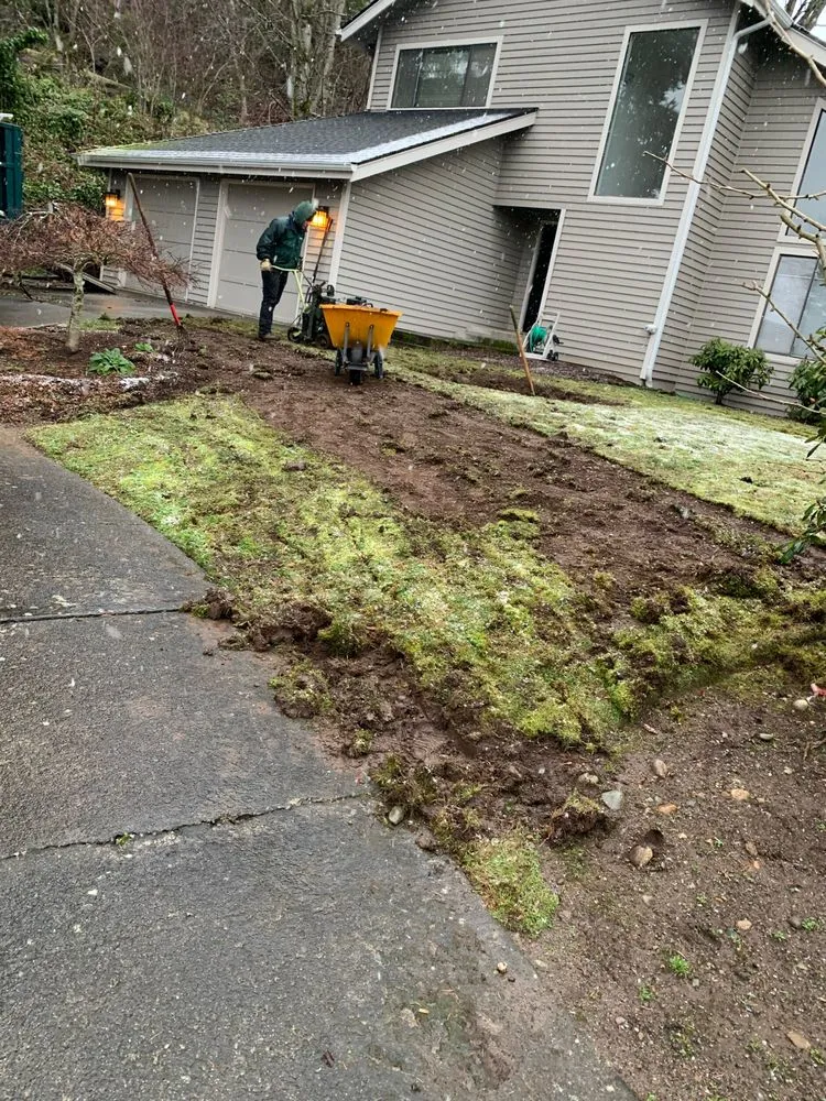 Affordable lawn care service for homes in Covington, WA by Leafy landscape