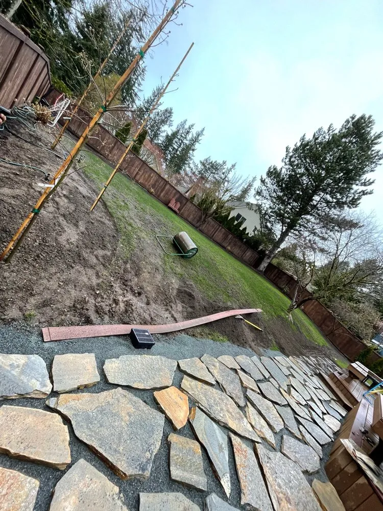 Custom yard cleanup service experts serving Covington, WA - Leafy landscape