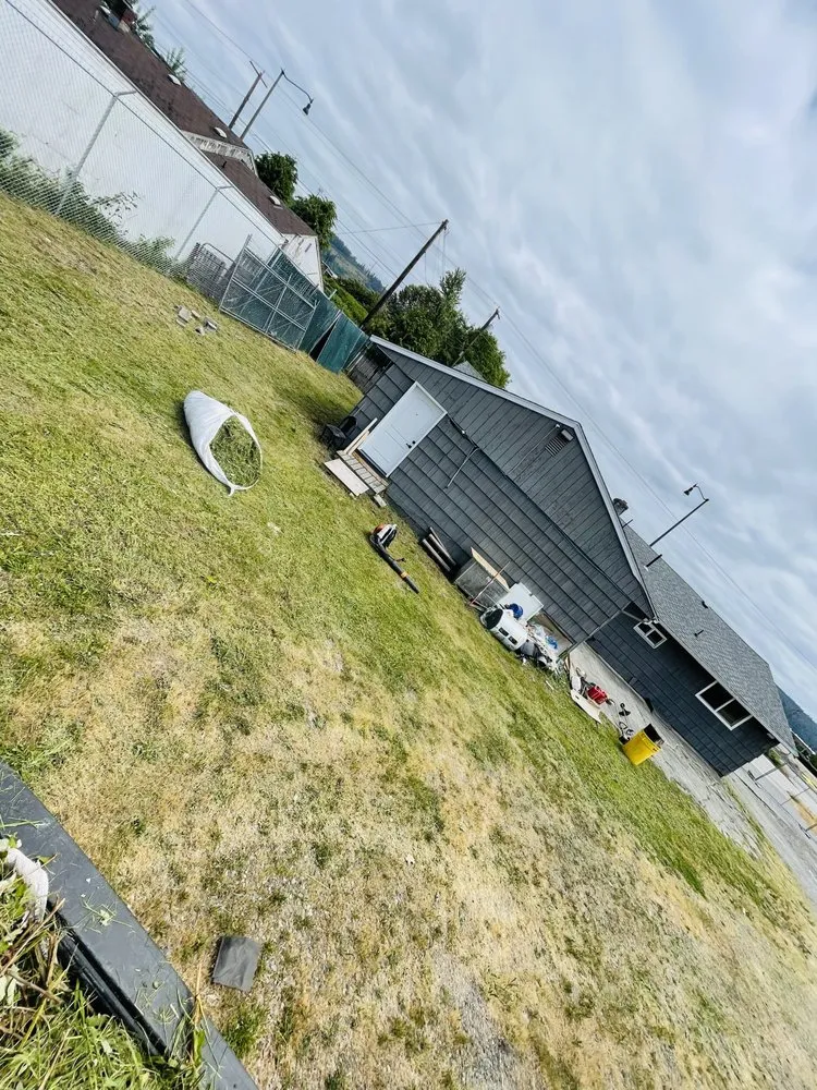 Trusted lawn care service in Covington, WA - Leafy landscape