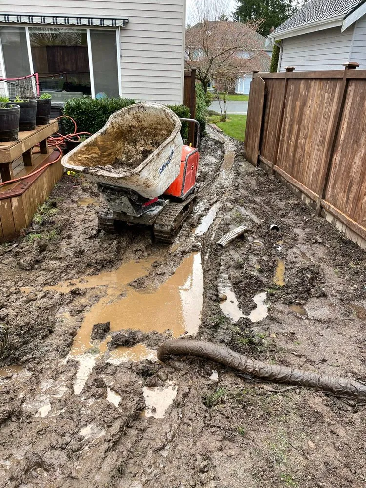 Local lawn care service experts serving Covington, WA - Leafy landscape