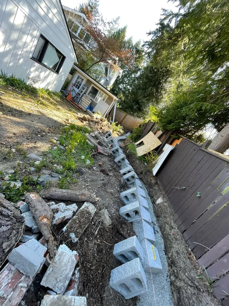 Trusted landscape installation in Covington, WA - Leafy landscape