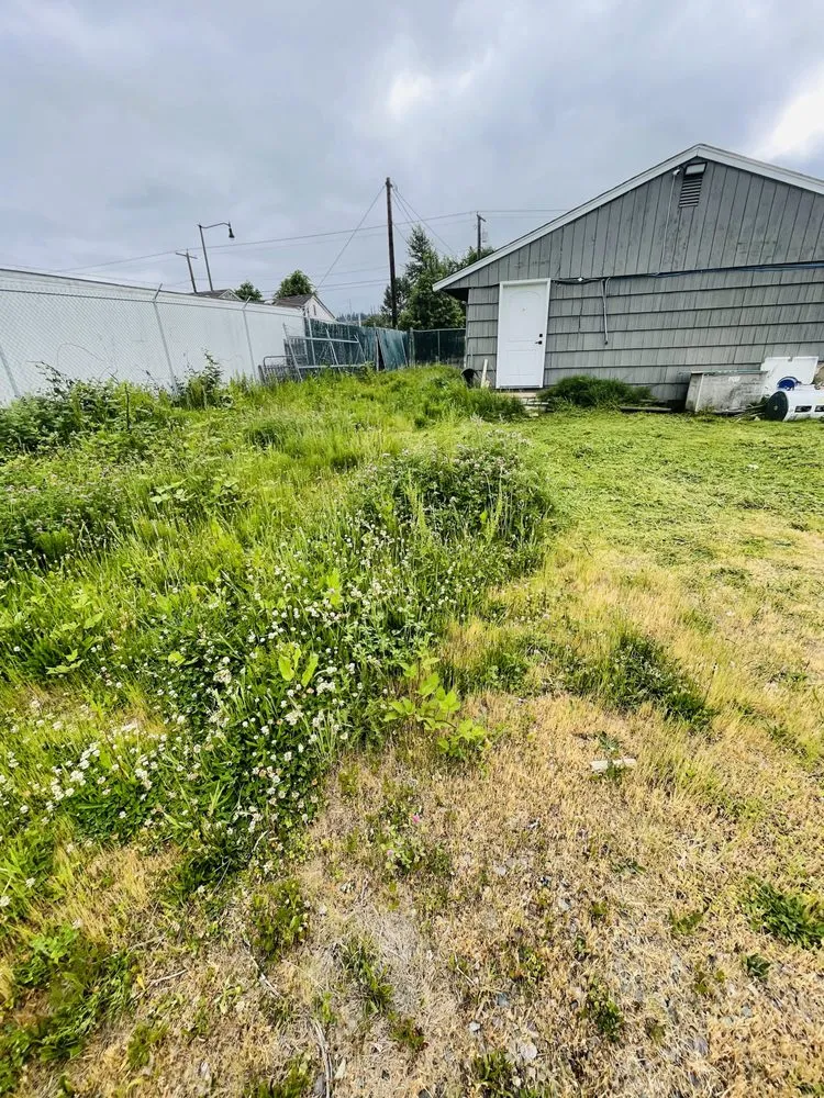 Custom landscaping services for year-round maintenance in Covington, WA by Leafy landscape