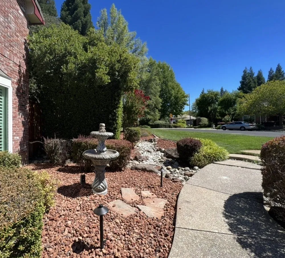 Top-rated residential landscaping in Elk Grove, CA - Leafy Landscape
