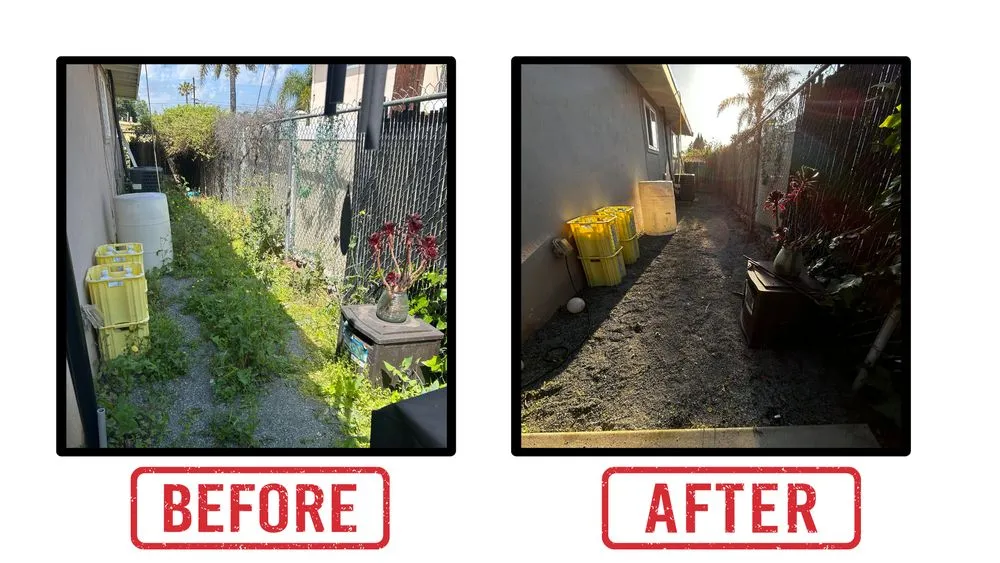 Local yard cleanup service for outdoor upgrades in El Cajon, CA by Leafy Lawn Mower