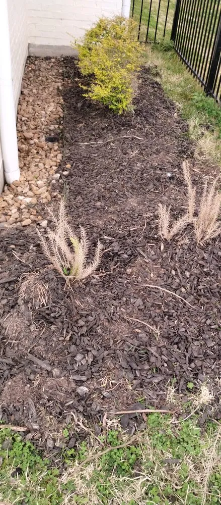 Expert lawn care service for beautiful yards across Lake Charles, LA - Leah Runnels