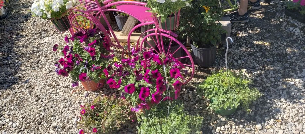 Professional lawn care service in Lake Charles, LA - Leah Runnels