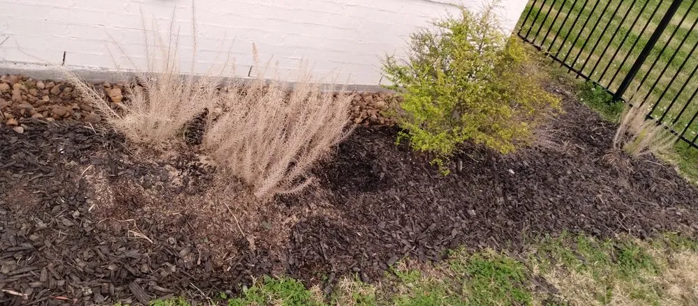 Expert garden landscaping in Lake Charles, LA - Leah Runnels