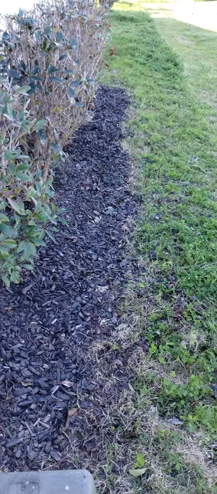 Affordable landscape installation with custom design across Lake Charles, LA - Leah Runnels