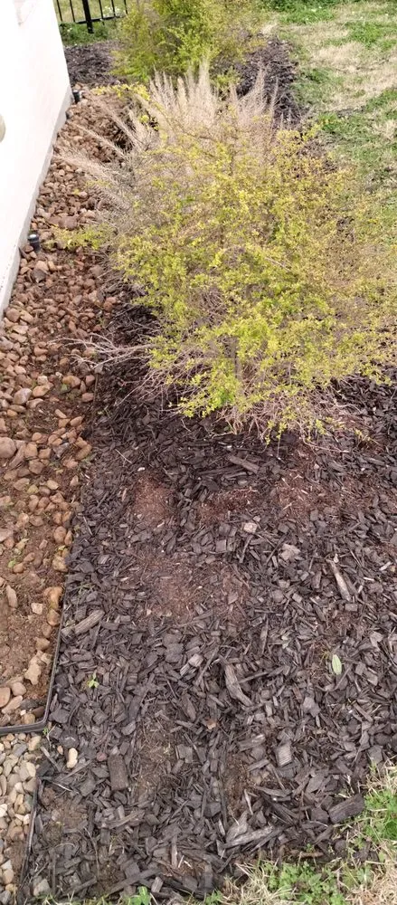 Affordable garden landscaping in Lake Charles, LA by Leah Runnels