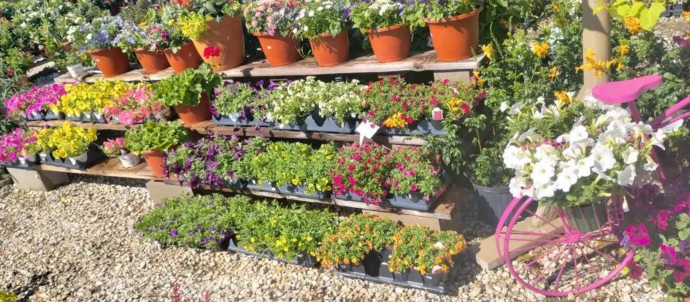 Trusted residential landscaping near you in Lake Charles, LA by Leah Runnels