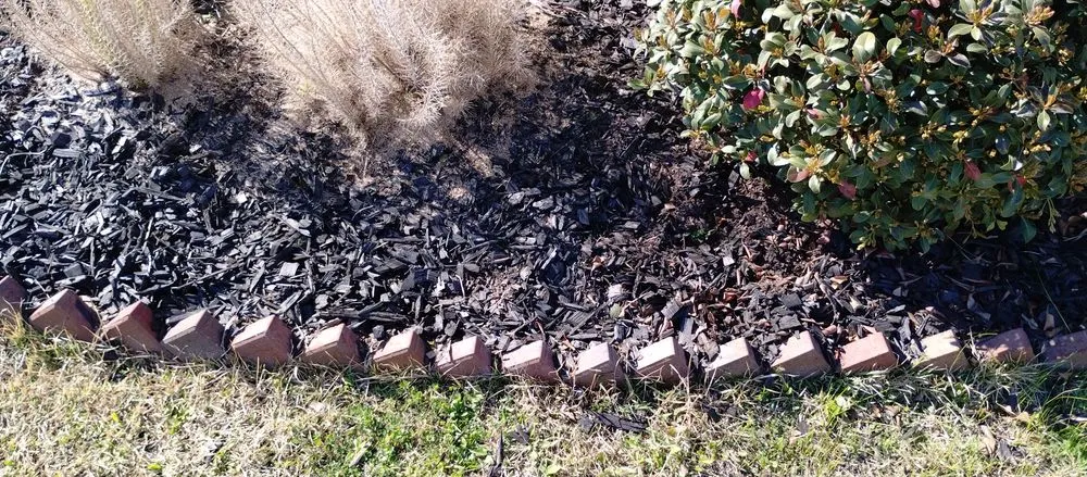 Professional landscaping services in Lake Charles, LA by Leah Runnels