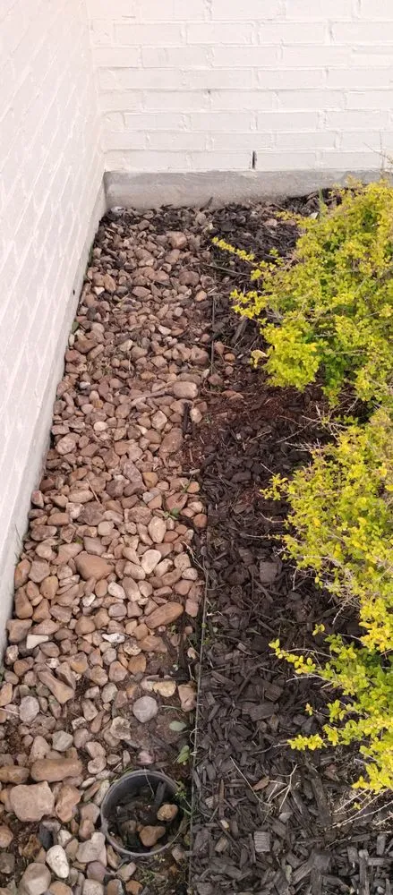 Reliable landscaping services for homes in Lake Charles, LA by Leah Runnels