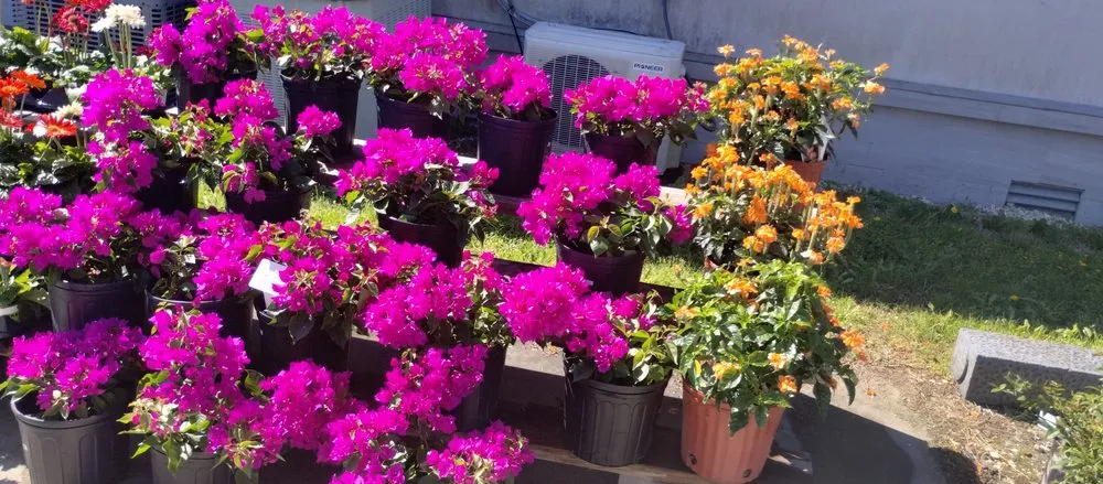 Professional garden landscaping experts serving Lake Charles, LA - Leah Runnels